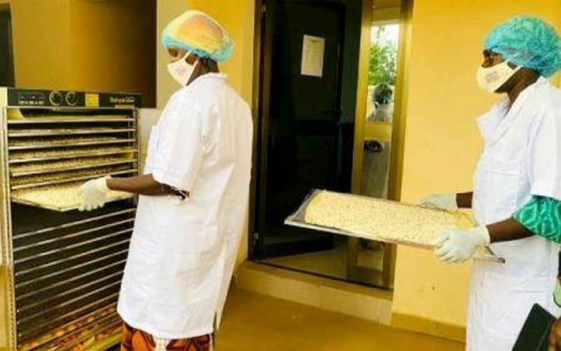 Une formation destinée aux femmes entrepreneures en Afrique subsaharienne lancée par la FAO