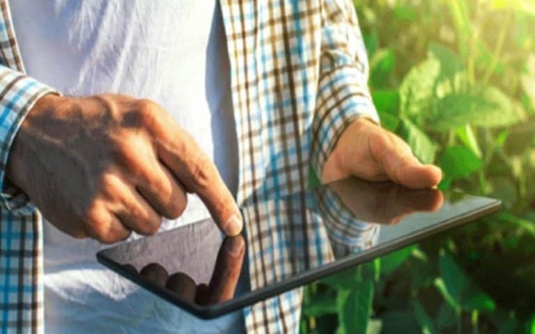 ‘AgriFood Tech start-ups’ : 250% de levée de fonds en 2021