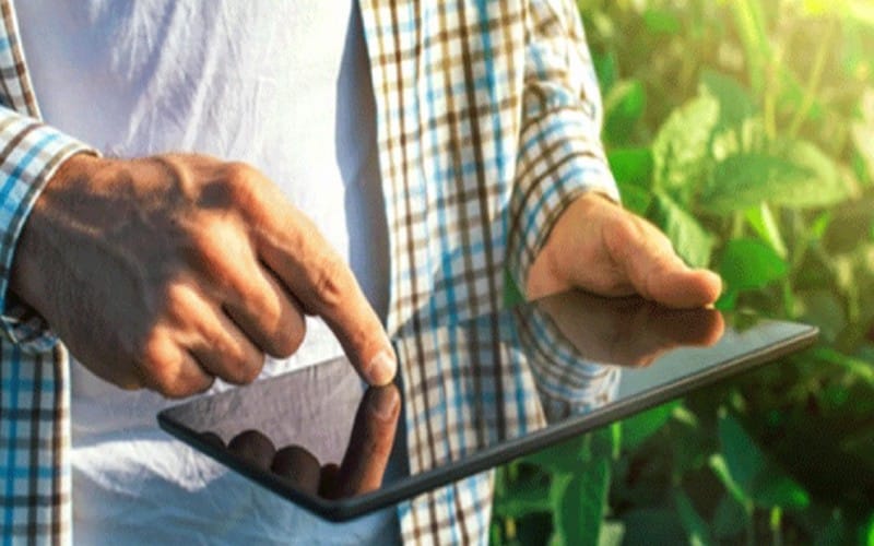 ‘AgriFood Tech start-ups’ : 250% de levée de fonds en 2021