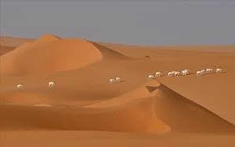 Banque mondiale : Le Sahel pourrait subir de graves conséquences du changement climatique