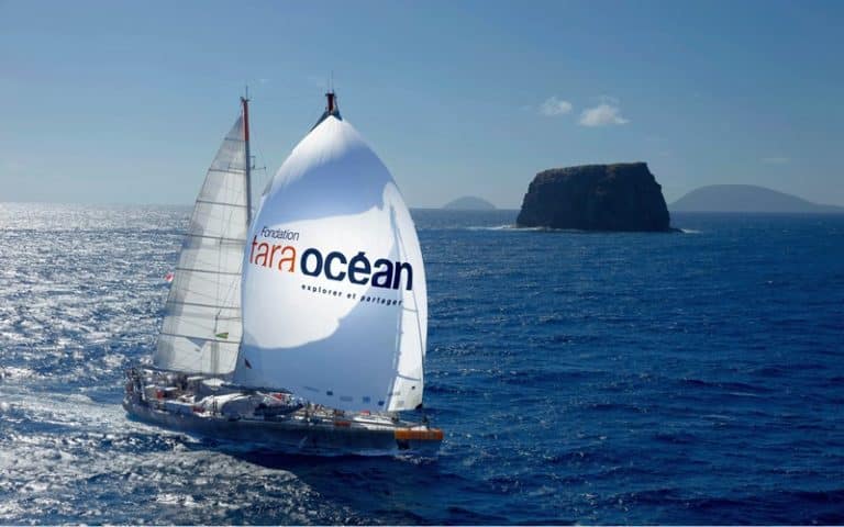 Du 2 au 12 septembre la goélette Tara fera escale au Sénégal avec une programmation exceptionnelle de sensibilisation sur l&rsquo;Océan