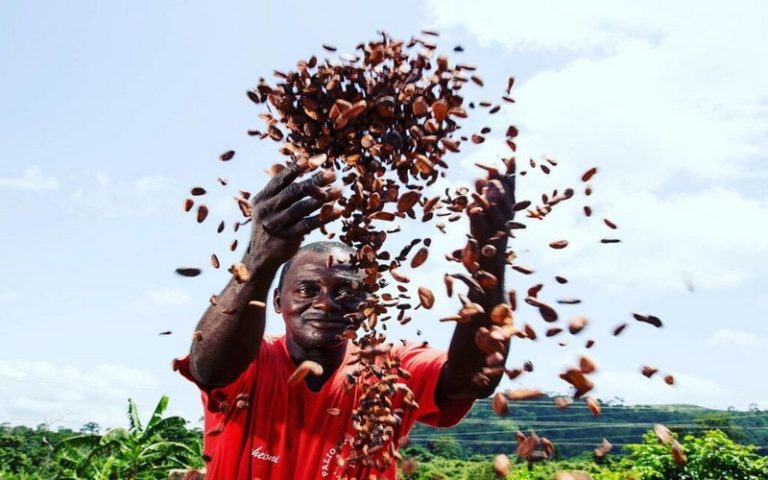 En plein pendant les crises climatiques et alimentaires mondiales, l’Afrique se construit un avenir alimentaire plus radieux