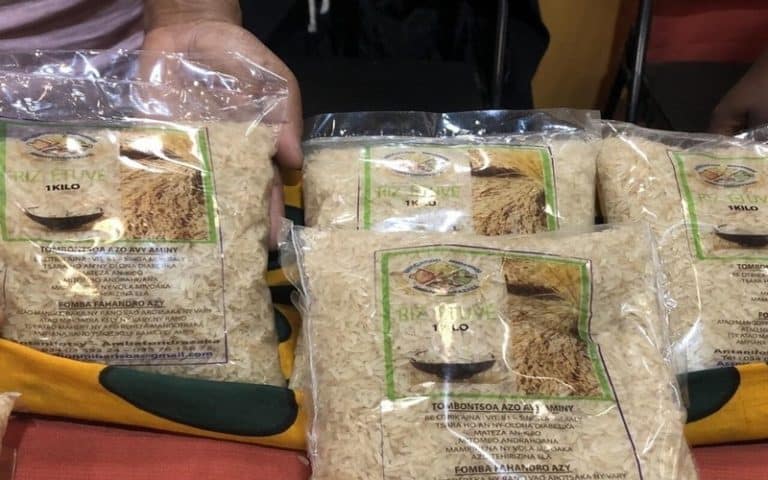 Foire internationale de l’agriculture à Madagascar : Le riz étuvé à l’honneur