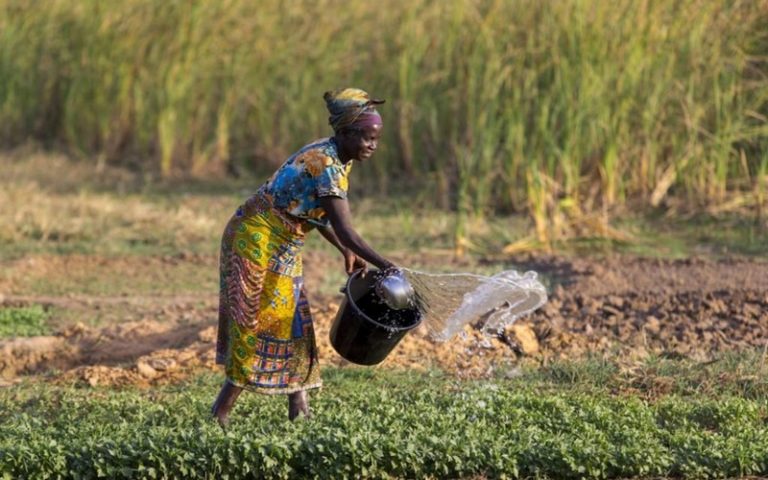 L’AFSA alerte sur l’exclusion des petits agriculteurs africains lors des prochaines négociations sur le climat