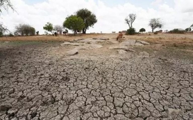 L’ONU alerte sur la situation « très alarmante » en Somalie