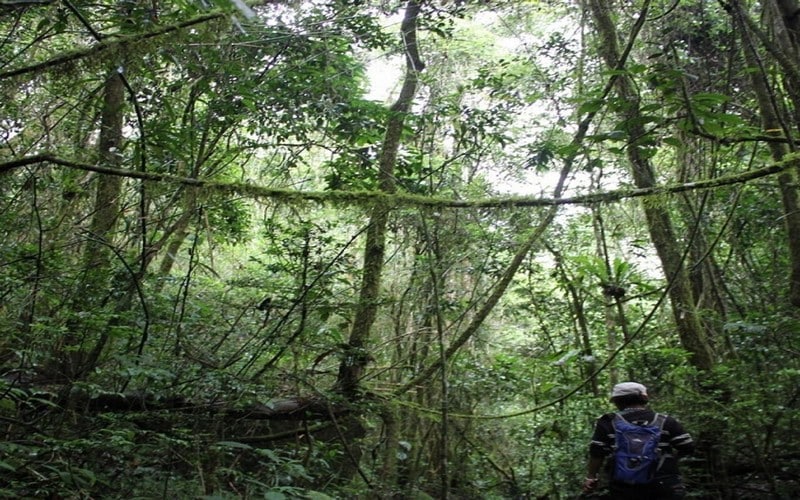 Préservation des ressources naturelles : Un technicien Sénégalais évoque le rôle important des collectivités territoriales
