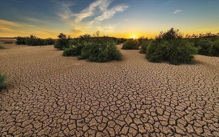 La résolution de la crise climatique en Afrique au menu de la Semaine africaine du climat