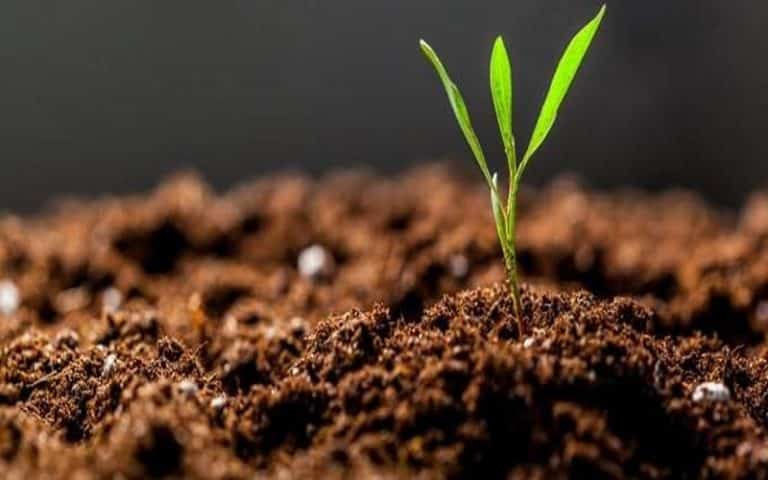 Le Forum sur la révolution verte s’attaque aux crises alimentaires et des engrais