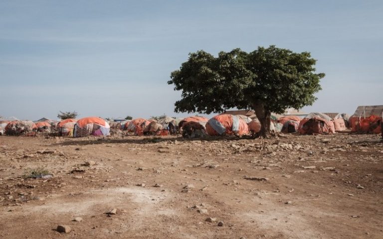 Les catastrophes climatiques à l’origine de la progression de la famine dans les pays vulnérables