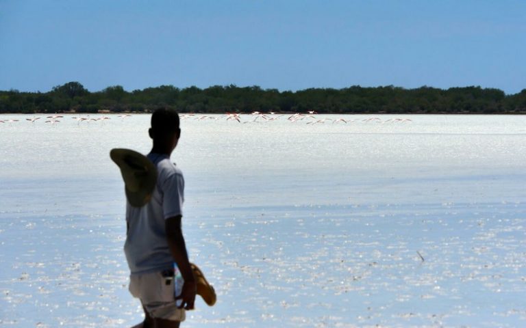 Menacé, les autorités malgaches volent au secours du parc national de Tsimanampetsosta
