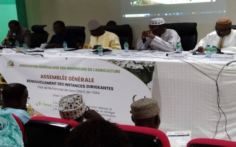 Assemblée générale de l’ASIA : Les enjeux et les défis du secteur semencier du Sénégal identifiés par les experts