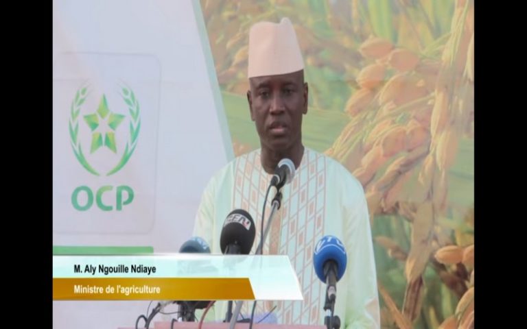 L&rsquo;OCP octroie 25 000 tonnes d&rsquo;engrais aux producteurs Sénégalais