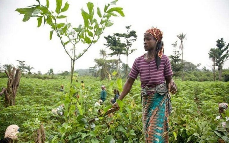 Le FIDA a dépassé ses objectifs de réduction de la pauvreté et de la faim sur la période 2019-2021