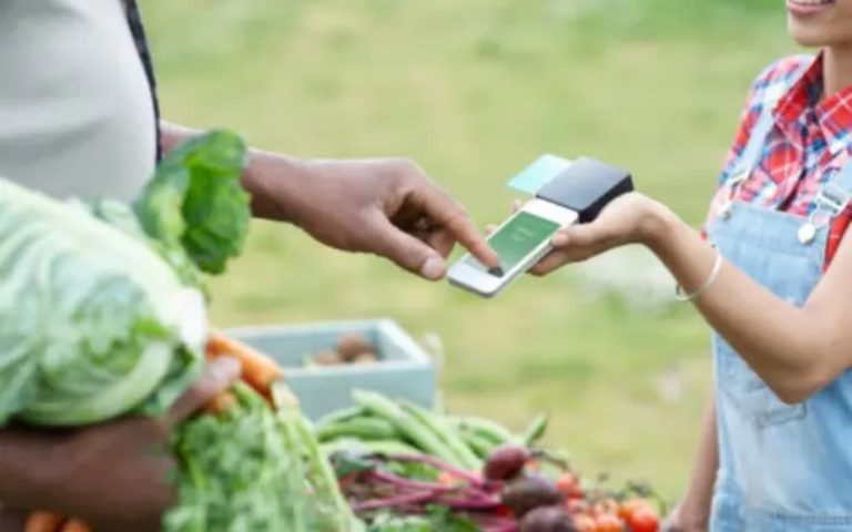 Le Kenya et l’Afrique du Sud de plus en plus performants en inclusion financière en Afrique, selon un apport