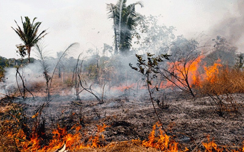 Les feux de forêt hors de contrôle ravagent Madagascar
