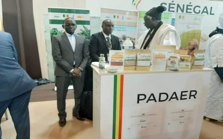Les sous-projets d’infrastructures du PADAER 2 validés à Kédougou (Sénégal)