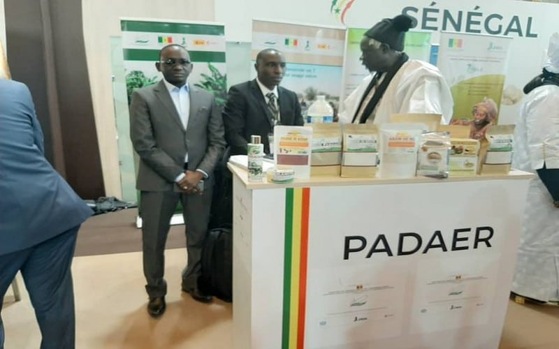 Les sous-projets d’infrastructures du PADAER 2 validés à Kédougou (Sénégal)