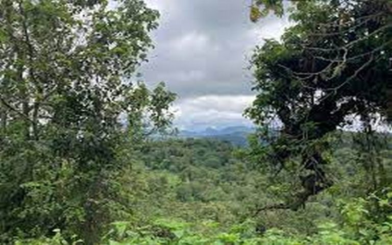Pré-COP de Kinshasa : Discussions sur le changement climatique des pays pauvres