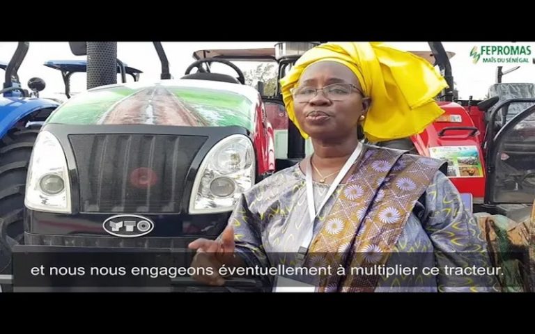 Sénégal : L’IMAIS pourrait emblaver 217 000 hectares en 2023