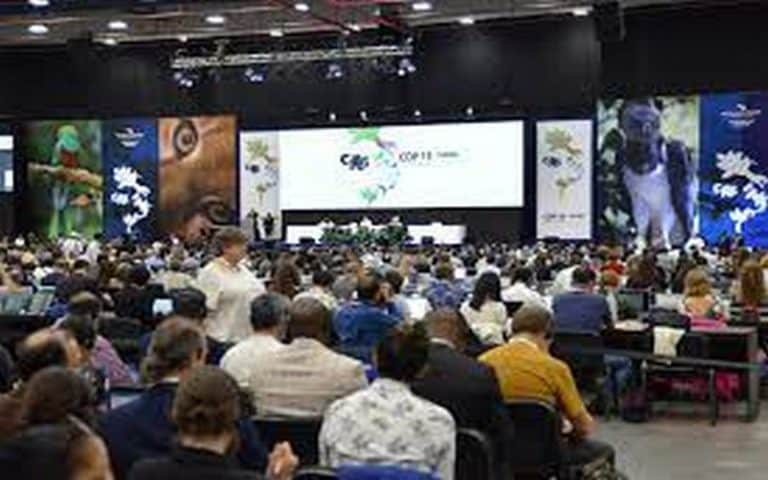 CITES CoP19 : Le Panama appelle à déterminer « l&rsquo;avenir de la planète »