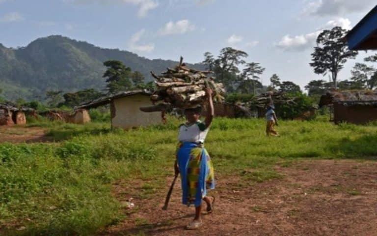 Diminution de la pression sur les forêts : La Côte d’Ivoire expérimente des fourneaux améliorés