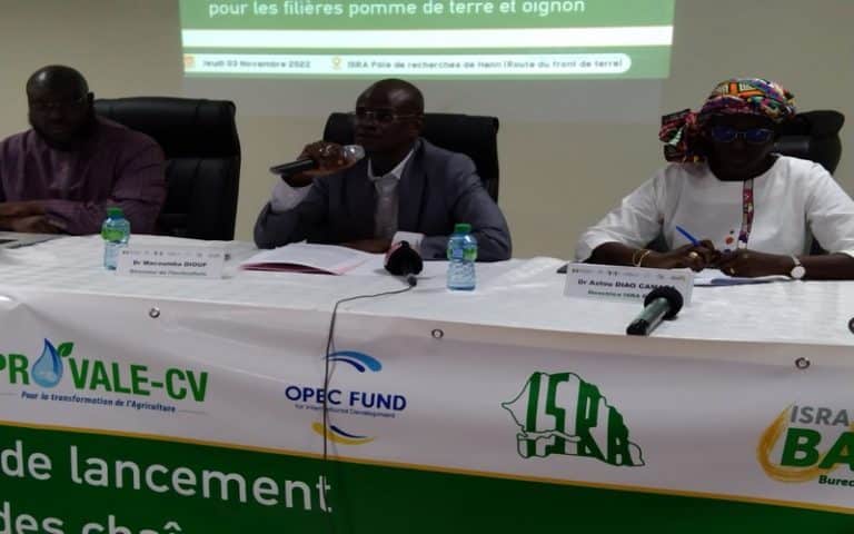 Horticulture : Le Sénégal lance une plateforme d’innovation dédiée aux chaines de valeurs des filières oignon et pomme de terre  