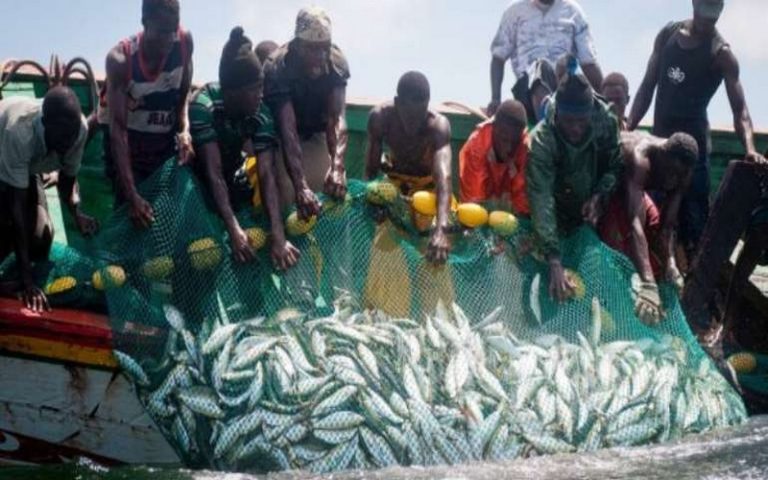 La CAOPA initie les gouvernements à sauver la pêche artisanale 