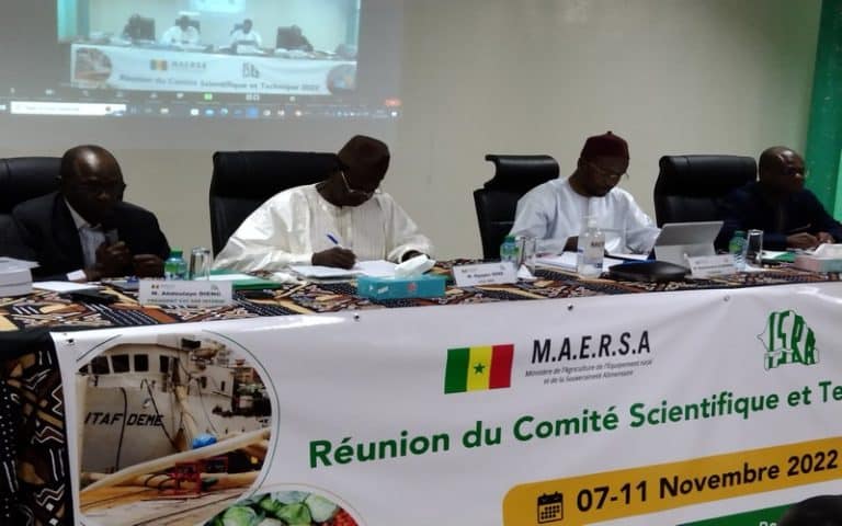 Le CST planche sur le défi de la souveraineté alimentaire pour le Sénégal