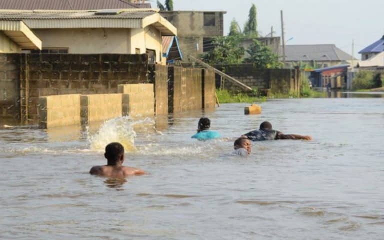 Les enjeux de la COP27 pour l’Afrique passés au peigne fin en Egypte