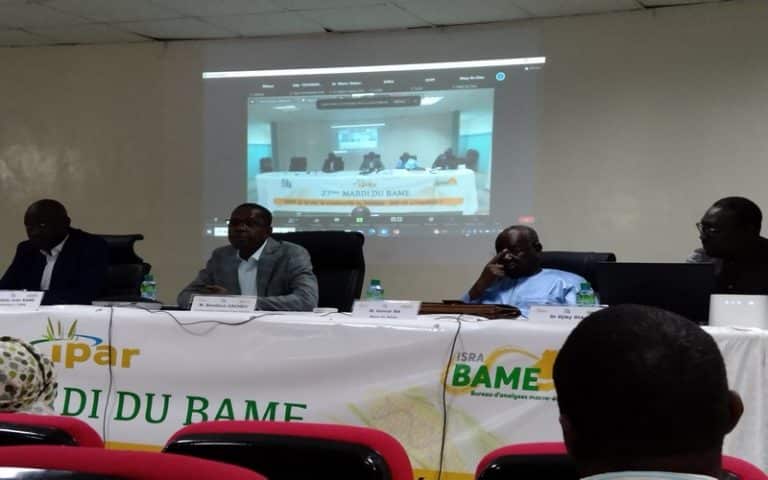 OGM : Les enjeux de la biosécurité pour le Sénégal au menu de la 27ème édition des « Mardis du BAME »