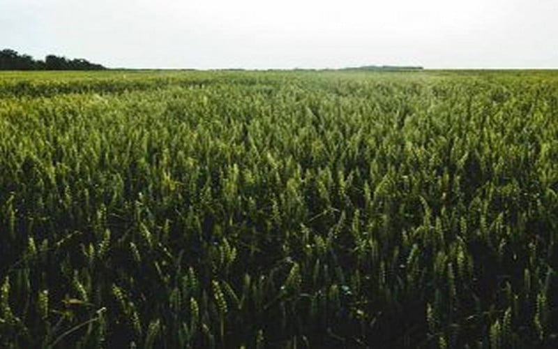 Sénégal : Vers le renforcement des infrastructures du DAC de Itato