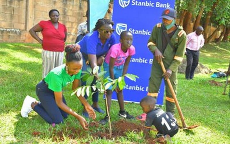 Un jeune Ougandais replante plus d’un demi-million d’arbres dans son pays