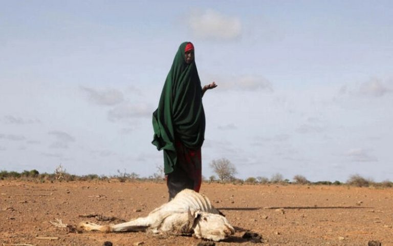 8 millions de personnes ont besoin d’une aide alimentaire en Somalie, selon l’ONU