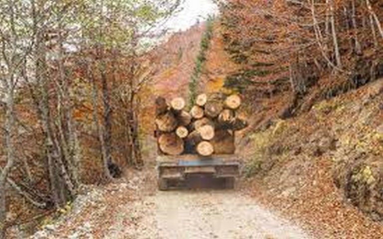 <strong>COP15 : déforestation ou dégradation ? </strong>