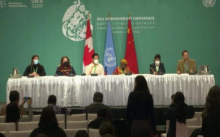 COP15 : quels sont les enjeux de la Conférence de l’ONU sur la biodiversité à Montréal ?