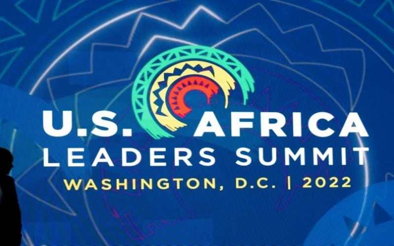 Forum Etats-Unis – Afrique : La diaspora africaine s’inquiète pour le climat à Washington
