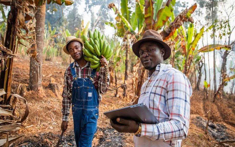 <strong>L’Afrique veut s’appuyer sur des informations climatiques en temps réel                        </strong>