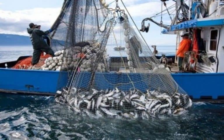 La Chine, un acteur majeur de l’exploitation cachée des ressources naturelles à Madagascar, selon un rapport de l’IFRI