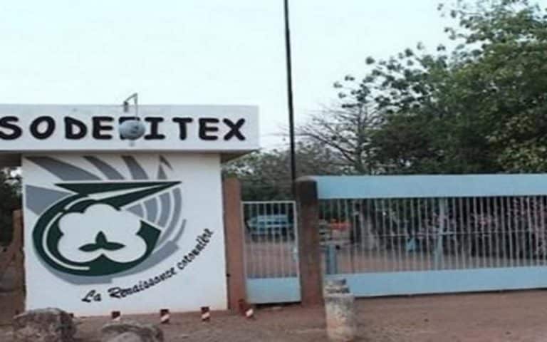 La SODEFITEX annonce la baisse de production de graines de coton au Sénégal