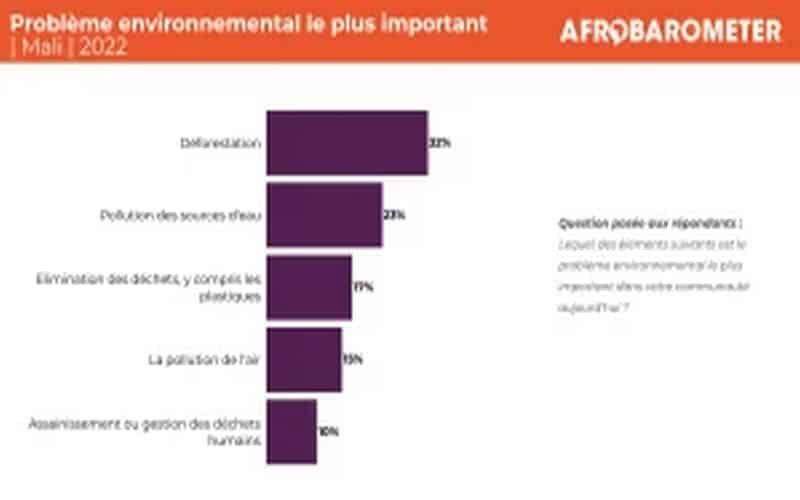 La déforestation, la pollution et la gestion des déchets, les grands défis environnementaux des Maliens