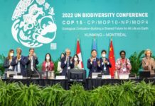 L’accord conclu à la COP15 de la diversité biologique peine à satisfaire tous les pays africains