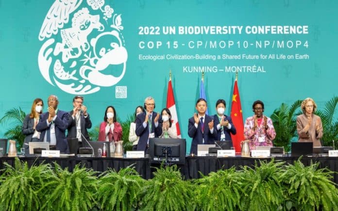 L’accord conclu à la COP15 de la diversité biologique peine à satisfaire tous les pays africains