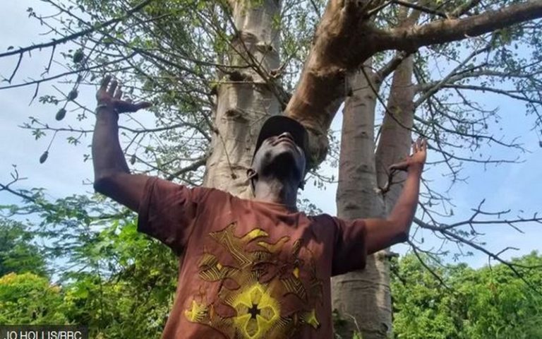 <strong>Le Sénégalais qui s’est donné pour mission de planter cinq millions d’arbres</strong>