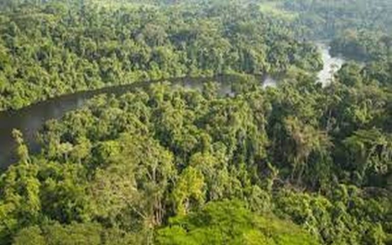 Le financement de la préservation de la biodiversité en Afrique, un des enjeux majeurs de la COP15