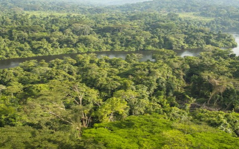 Les négociations avancent peu à peu à la COP15 et le « pacte de paix avec la nature » tant espérer toujours attendu