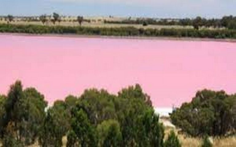Sénégal : La sauvegarde de l’écosystème du Lac Rose et des propositions de solutions durables au menu d’un CRD spécial à Diamniadio