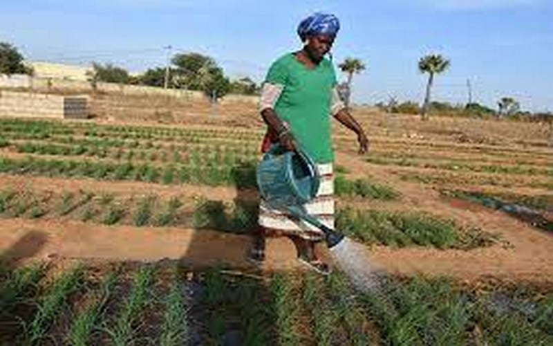 Sénégal : Le responsable du suivi-évaluation du PIESAN juge les résultats du projet « assez satisfaisants » en 2021