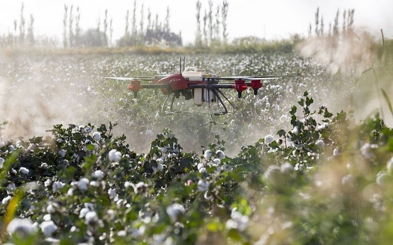 Technologie et productivité dans l’agriculture, des moteurs de la lutte contre la pauvreté