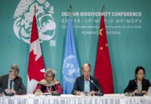 Un accord historique visant à enrayer la destruction de la biodiversité adoptée à la COP15 à Montréal (Canada)