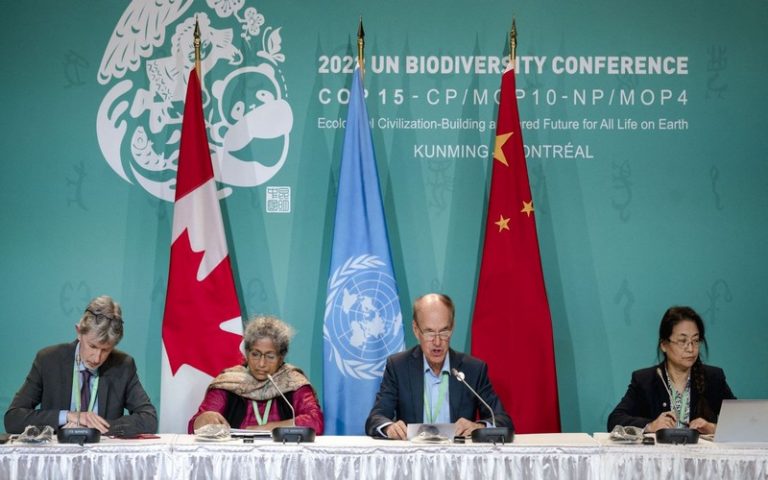 Un accord historique visant à enrayer la destruction de la biodiversité adoptée à la COP15 à Montréal (Canada)